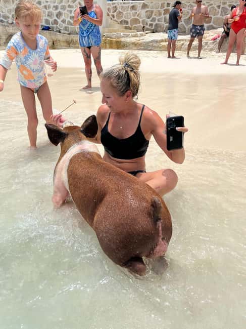 Nassau: Pigs, Snorkel, Turtles, Lunch, Private Beach Club - Watching turtles at Green Cay