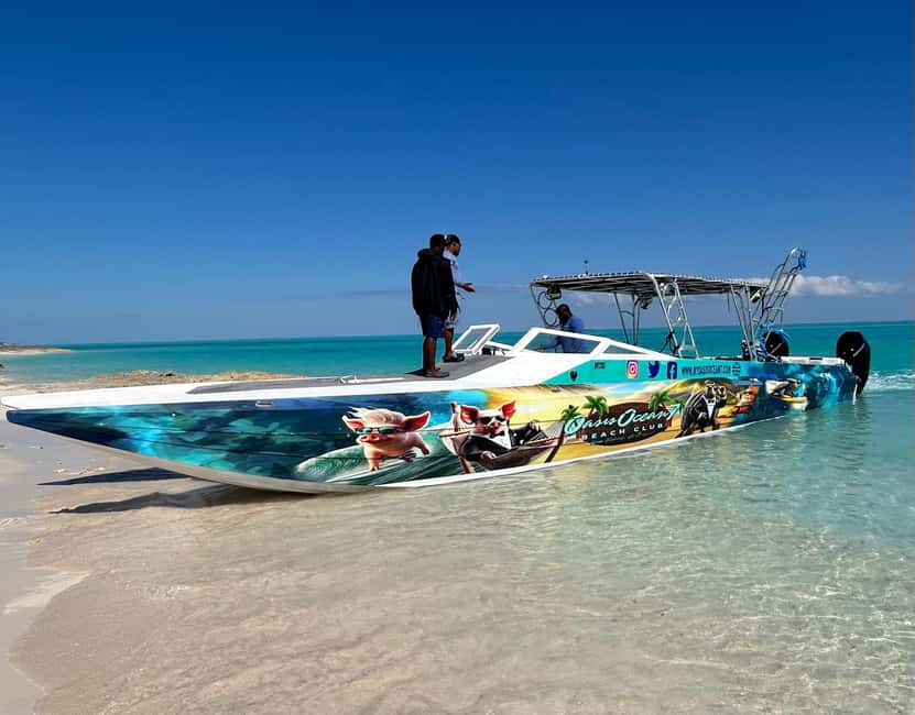 Nassau: Pigs, Snorkel, Turtles, Lunch, Private Beach Club - Who will enjoy this most