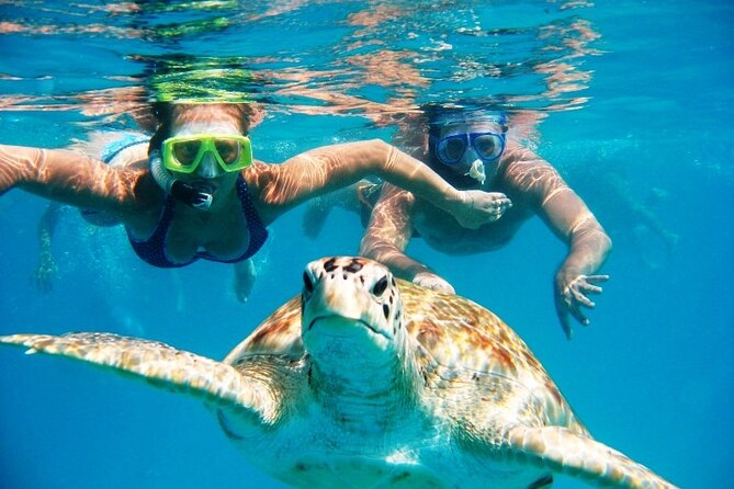 Nassau: Private Island & Snorkeling, Turtles, Drinks & BBQ - A fast start from Paradise Island