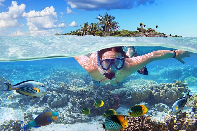 Nassau: Private Island & Snorkeling, Turtles, Drinks & BBQ - Rose Island gives you time to slow down