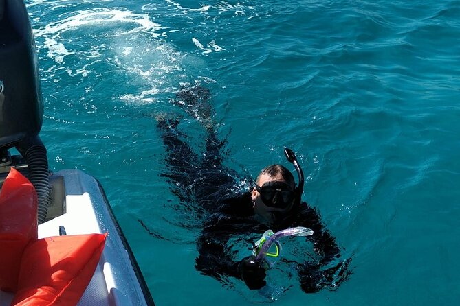 Nassau: Private Island & Snorkeling, Turtles, Drinks & BBQ - The value of $100 depends on your priorities