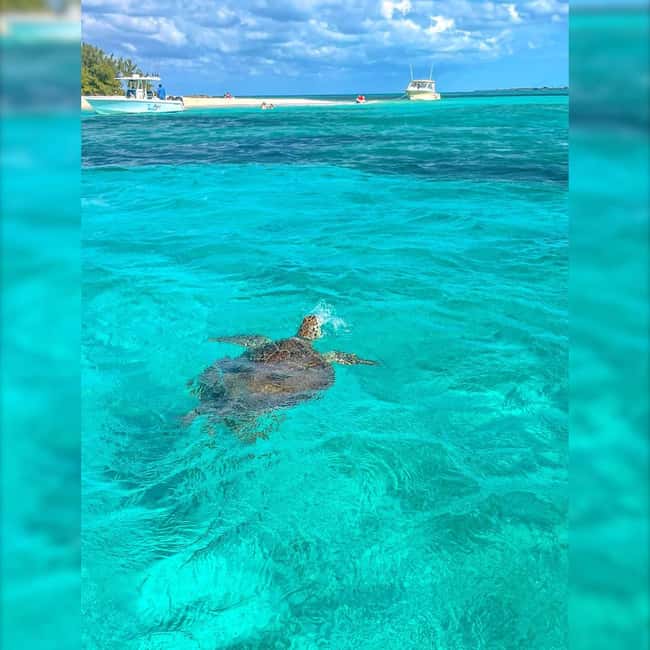 Nassau: Rose 3-Island Tour with Snorkeling and Lunch - Guides, group feel, and service