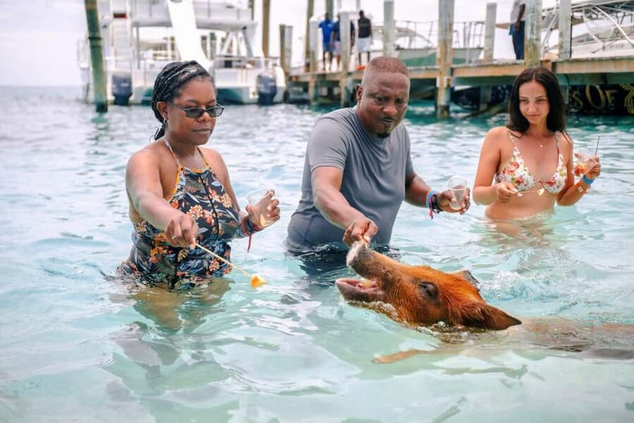 Nassau: Rose Island Swimming Pigs and Beach Day Group Tour - Key points to know before you book