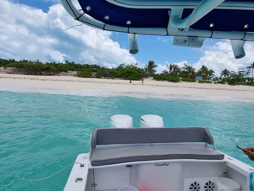 Nassau: Rose Island Swimming Pigs & Turtles Snorkeling Tour - Green Cay and the search for turtles