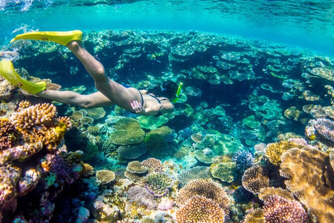 Nassau Sail & Snorkel Adventure with 1 Hour Open Bar - Sailing across Nassau Harbour to Athol Island