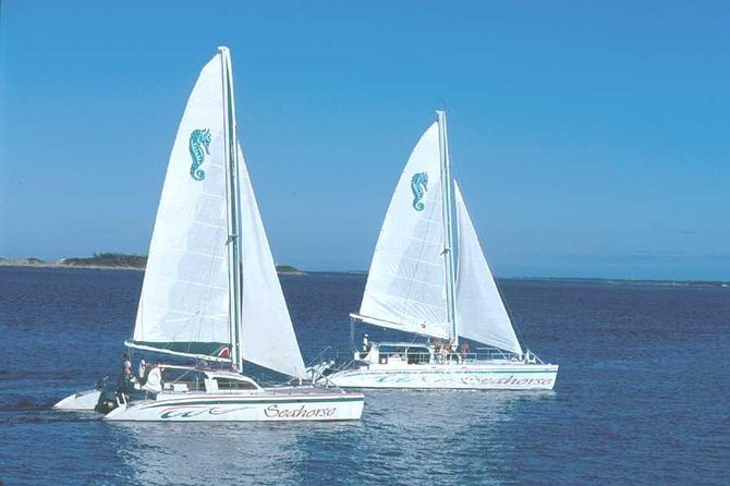 Nassau Sail & Snorkel Adventure with 1 Hour Open Bar - Who will get the most from this excursion