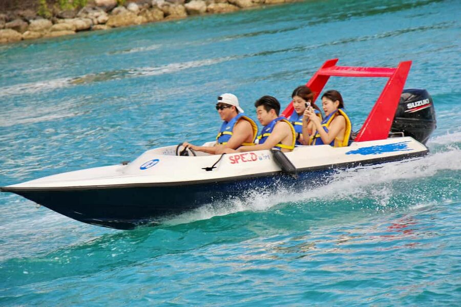 Nassau: Self-Drive Speedboat Ride and Pig Swimming Encounter - Feeding and swimming with the pigs