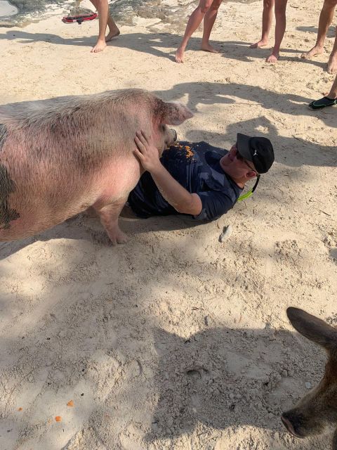 Nassau: Self-Drive Speedboat Ride and Pig Swimming Encounter - Meeting point and cruise-port planning