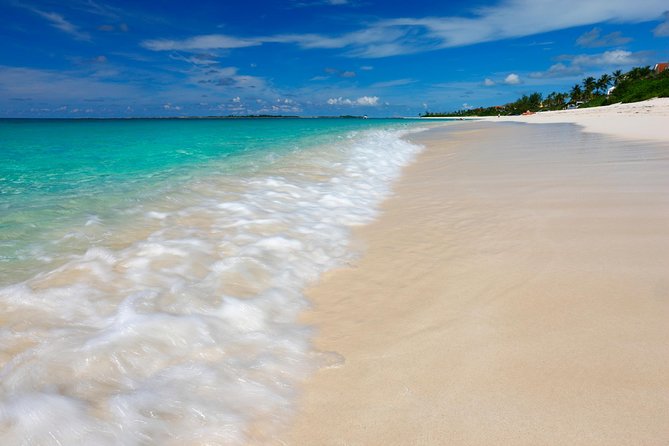 Nassau Shore Excursion: Sightseeing and Snorkeling Tour - From the cruise terminal to Nassau’s old stone steps