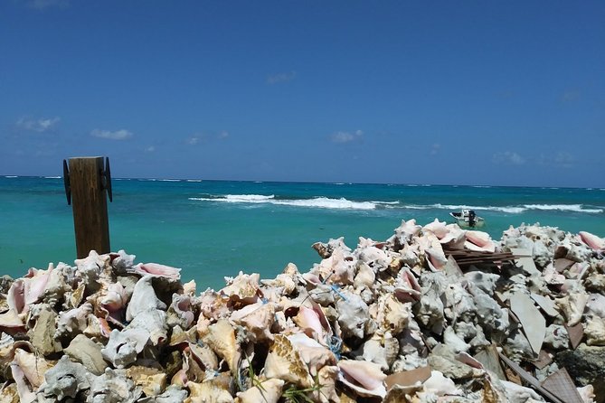 Nassau Shore Excursion: Sightseeing and Snorkeling Tour - What the guides add to the day