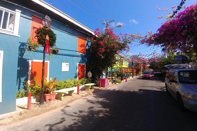 Nassau Shore Excursion: Sightseeing and Snorkeling Tour - Fort Fincastle and the high point of Nassau