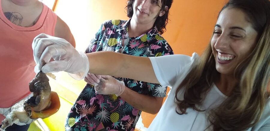 Nassau: Sip, Sample & See, Food & History Bus Tour - The air-conditioned ride and pickup plan