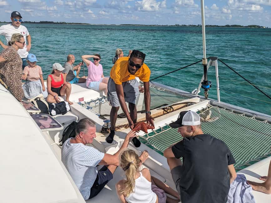 Nassau: Snorkeling, Pig Beach, Swim with Turtles, and Lunch - A five-and-a-half-hour Nassau boat day