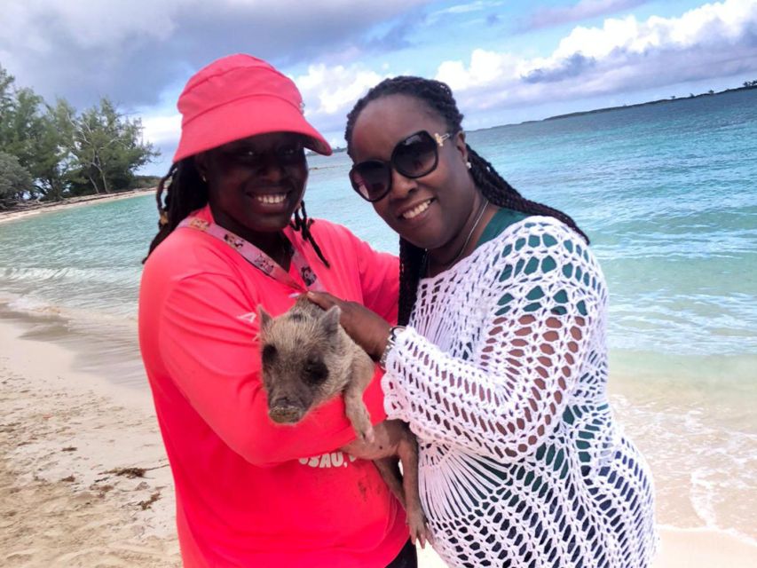 Nassau: Snorkeling, Pig Beach, Swim with Turtles, and Lunch - Turtle Cay and the second snorkeling stop