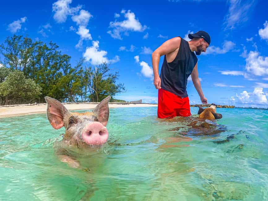 Nassau: Sun Cay and Swimming Pigs Boat Trip with Lunch - The boat ride from Nassau to Sun Cay