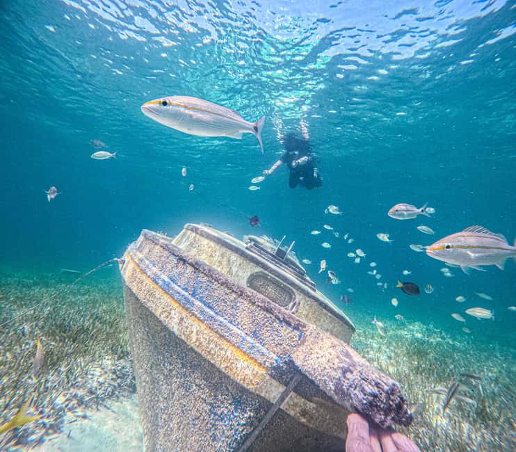 Nassau: Sun Cay Day Trip, Snorkel, Iguana Encounter, & Lunch - What the snorkeling is really like