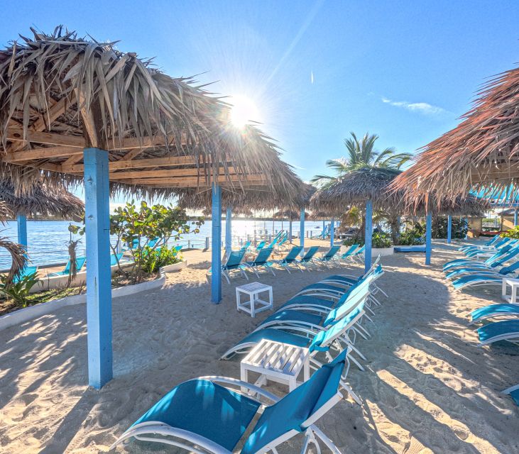 Nassau: Sun Cay Day Trip, Snorkel, Iguana Encounter, & Lunch - The included Bahamian lunch