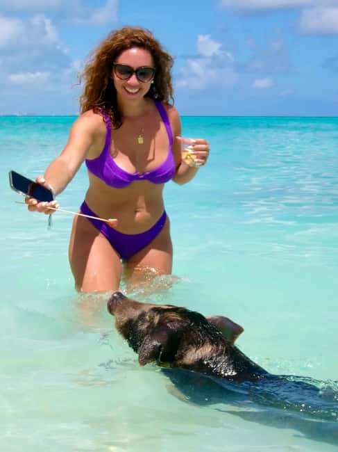 Nassau: Swimming Pigs and Private Beach Club Trip with Lunch - Key things to know before booking