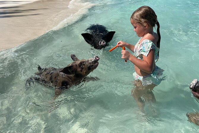 Nassau: Swimming Pigs And Snorkel With Turtles - Cruising between the islands