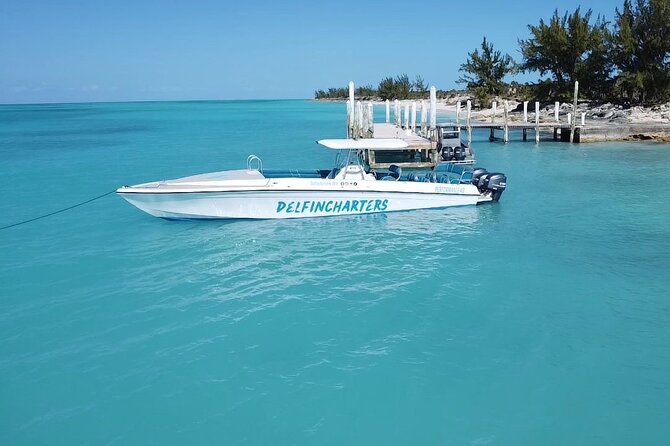 Nassau: Swimming Pigs And Snorkel With Turtles - The crew, music, and group atmosphere