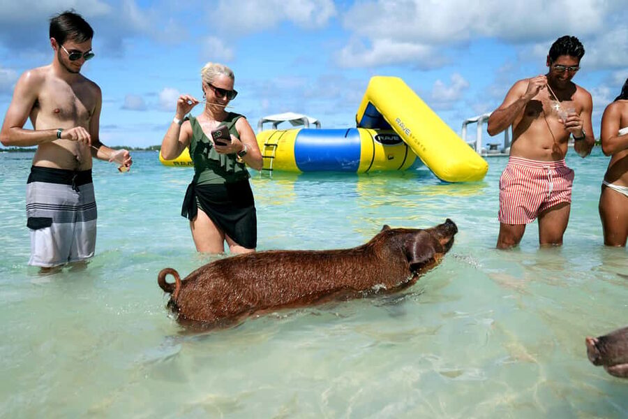 Nassau: Swimming Pigs, Snorkeling, Lunch, & Beach Boat Tour - Key points to know before you book