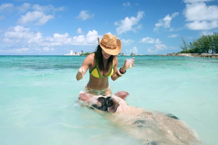 Nassau: Swimming Pigs, Snorkeling, Lunch, & Beach Boat Tour - A private beach with more to do than simply sit
