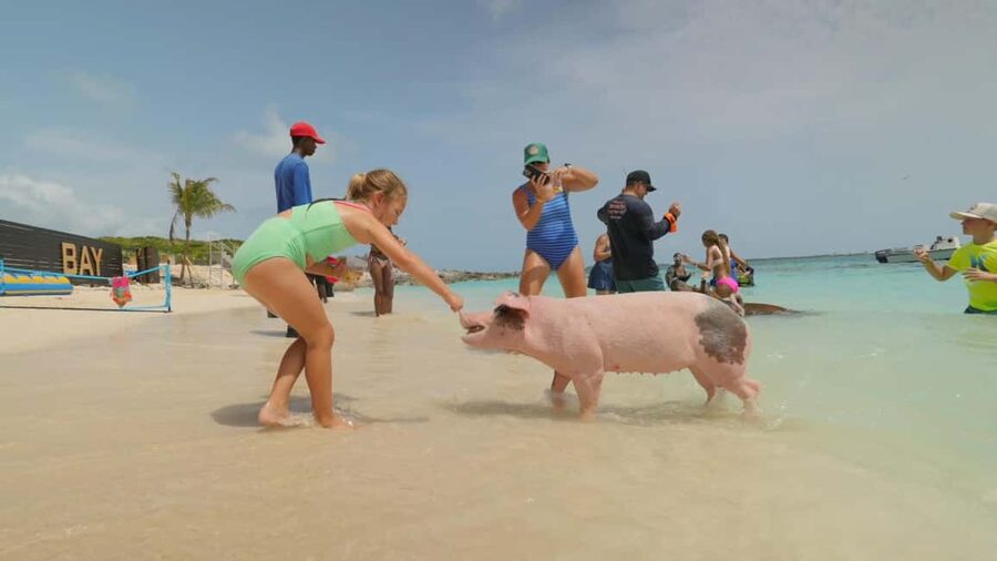 Nassau: Swimming Pigs, Snorkeling, Lunch, & Beach Boat Tour - The crew and the overall atmosphere