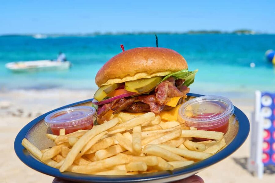 Nassau: Swimming Pigs, Snorkeling, Lunch, & Beach Boat Tour - Who will get the most from this tour