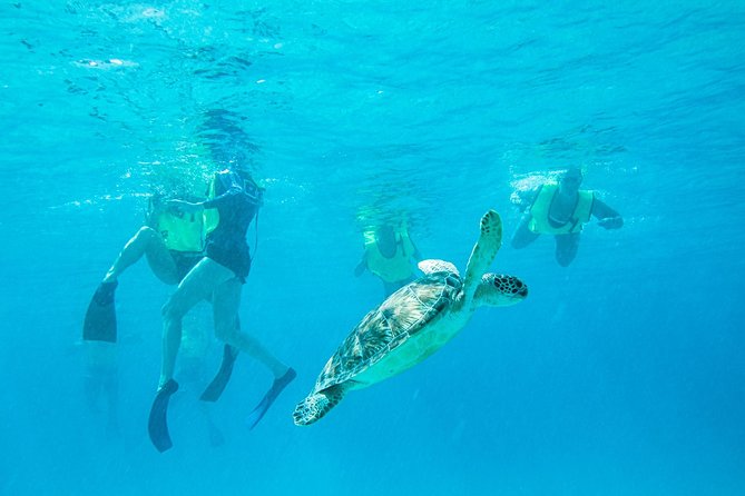 National Park Snorkeling Excursion - Key points to know before booking