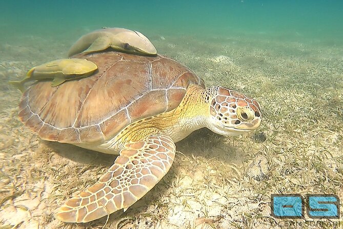 National Park Snorkeling Excursion - The morning run from Red Hook to St. John