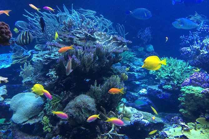 National Park Snorkeling Excursion - Family comfort and practical limits