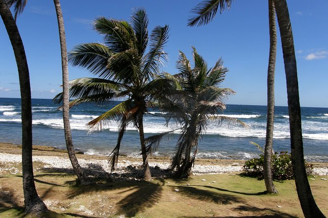 Natural Wonders of Barbados Small-Group with Harrison's Cave - What the guide adds to the day