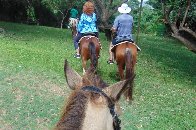 Nature & Historical Horseback Riding Tours St. Lucia - Arriving at Fond d’Or Bay