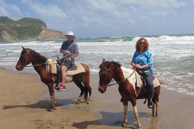 Nature & Historical Horseback Riding Tours St. Lucia - Coconut water, fruit, and the ride back