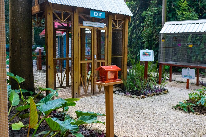 Nature Trail, Tram & Rum Tasting at Harrison's Cave by Chukka - Guides, group size, and the human side