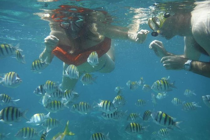 Negril Lobster Lunch on Booby Cay & Snorkeling To a Sunken Cannon - Key details to know before you book
