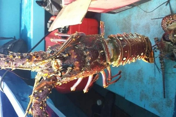 Negril Lobster Lunch on Booby Cay & Snorkeling To a Sunken Cannon - The coal-grilled lobster and jerk chicken lunch