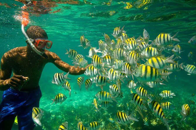 Negril Seven Miles Beach, Snorkeling, Boat Ride, Ricks Cafe Combo - What to bring and who should book
