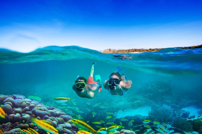 Negril Seven Miles Beach, Snorkeling, Boat Ride, Ricks Cafe Combo - The glass-bottom boat adds wildlife and water time