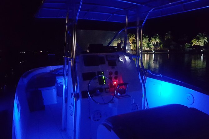 Night Bioluminescence Snorkel Tour - What the Grand Cayman bioluminescence looks like
