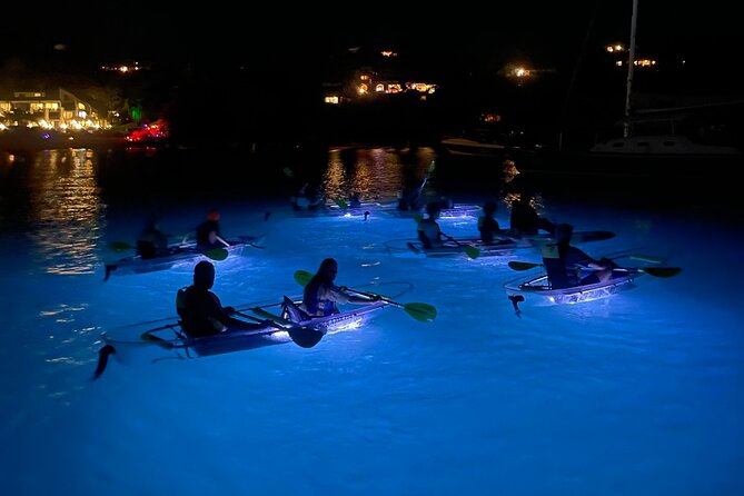 Night Kayak Tour St. John - Westin Resort - Key points to know before you book
