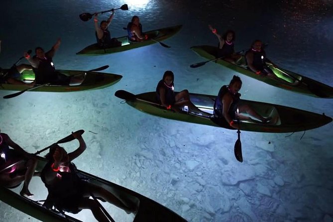 Night Kayak Tour St. John - Westin Resort - What you may see below the boat