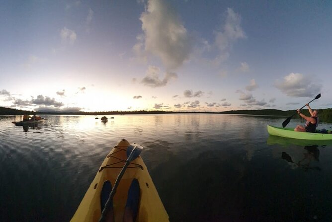 Night Kayaking Experience on Bioluminescent Lagoon in Fajardo - Paddling through the mangrove channels