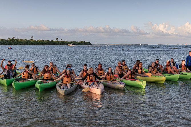 Night Kayaking Experience on Bioluminescent Lagoon in Fajardo - Seeing the bioluminescence in real conditions