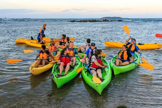 Night Kayaking Experience on Bioluminescent Lagoon in Fajardo - What the accessibility details mean