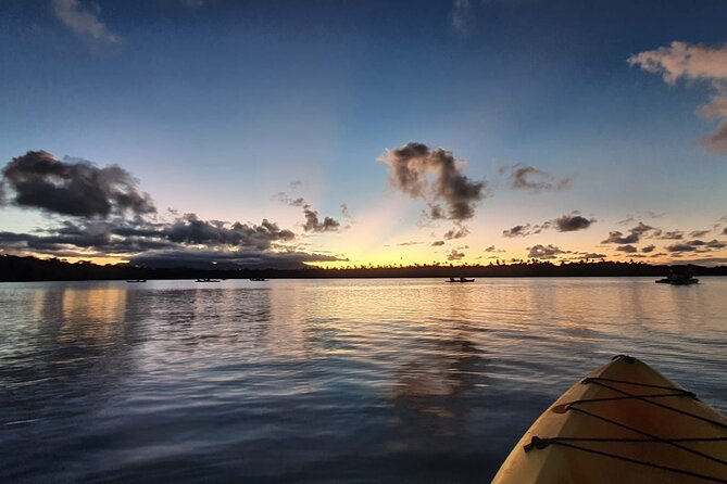 Night Kayaking Experience on Bioluminescent Lagoon in Fajardo - The real value of the $79 price