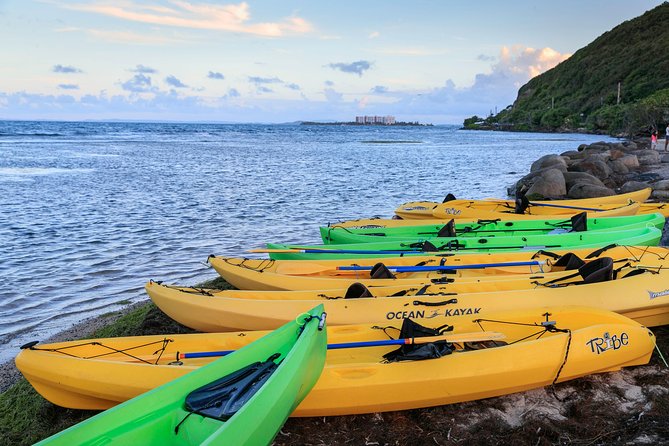 Night Kayaking Experience on Bioluminescent Lagoon in Fajardo - Meeting at 6:00 pm in Fajardo