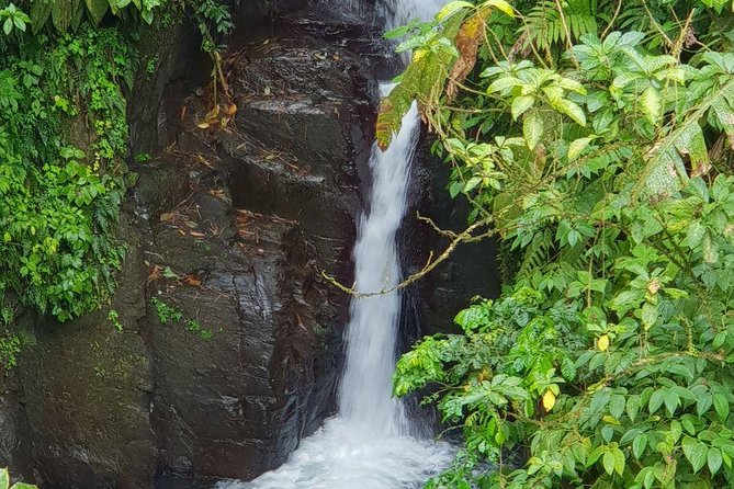 North Island Tour And Martinique Best Secret - A six-hour route through Martinique’s greener north
