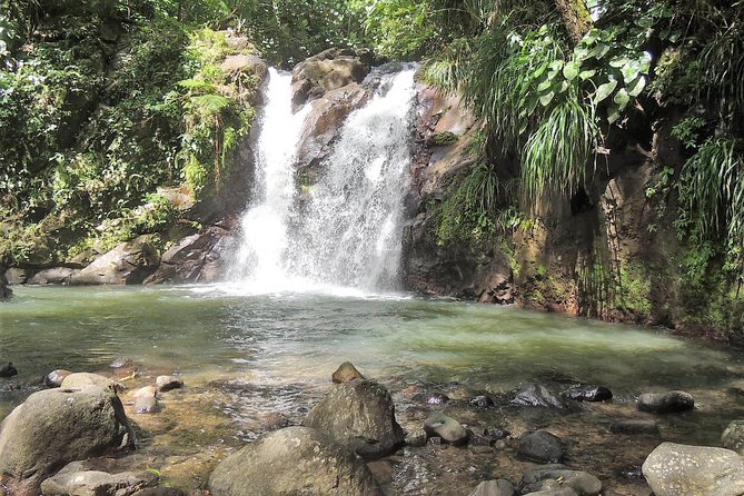 North Island Tour And Martinique Best Secret - Waterfall walks on the Route de la Trace