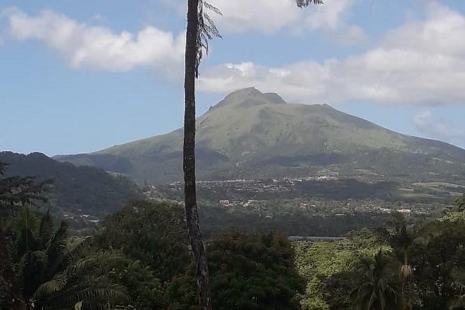 North Island Tour And Martinique Best Secret - Depaz distillery: gardens, machinery, and strong rum